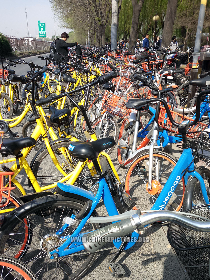 China Dockless Shared Bicycles Clogged Beijing Sidewalk