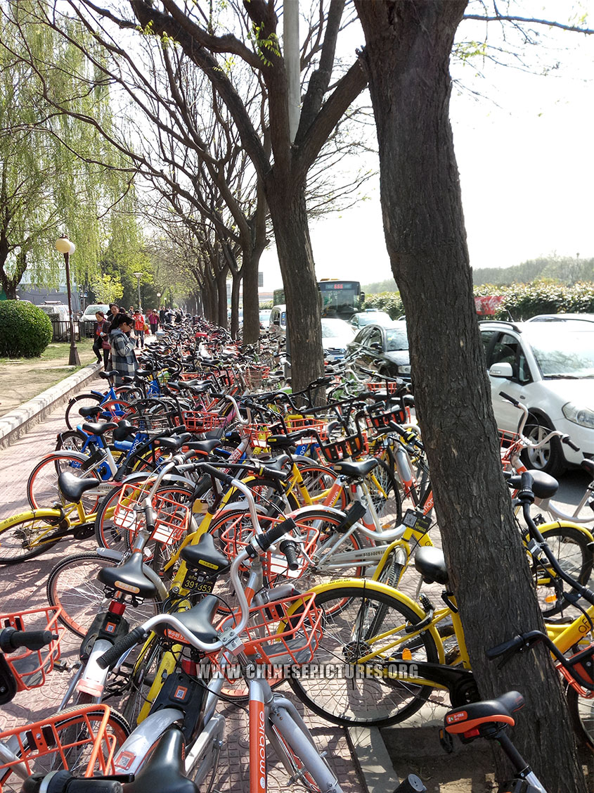 China Dockless Shared Bicycles Clogged Beijing Sidewalk 2