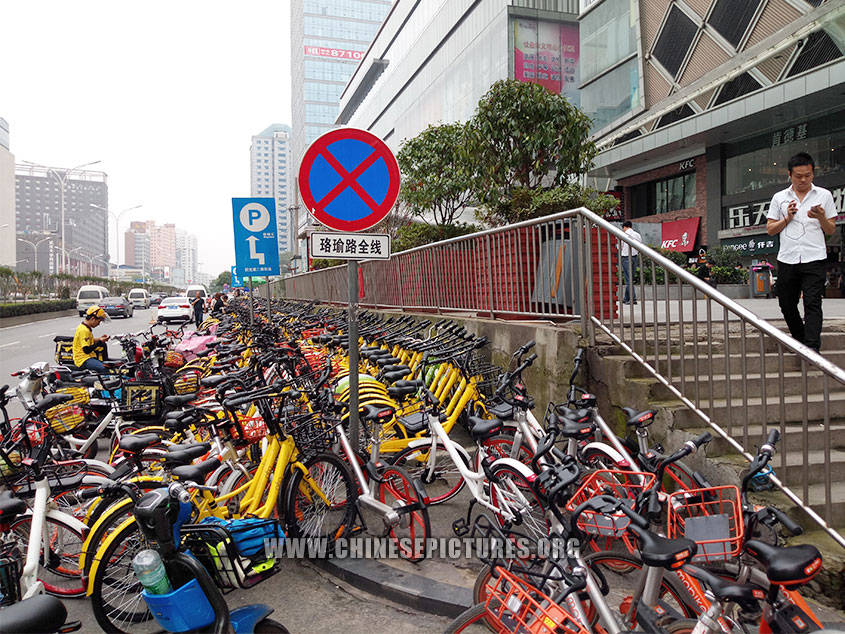 Wuhan Dock-less Shared Bike Photo