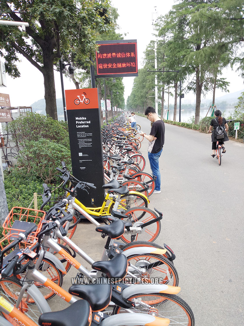 Wuhan Dock-less Shared Bicycles Photo