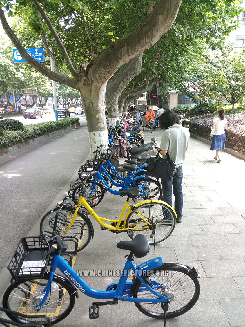 China Dockless Shared Bicycles Nanjing Sidewalk 2