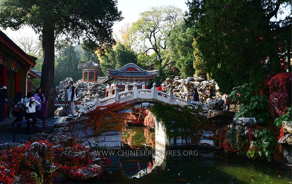 Beihai Park Oct 2025