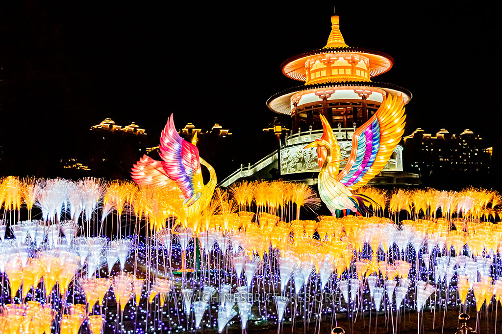 Tang Paradise Night photo 6