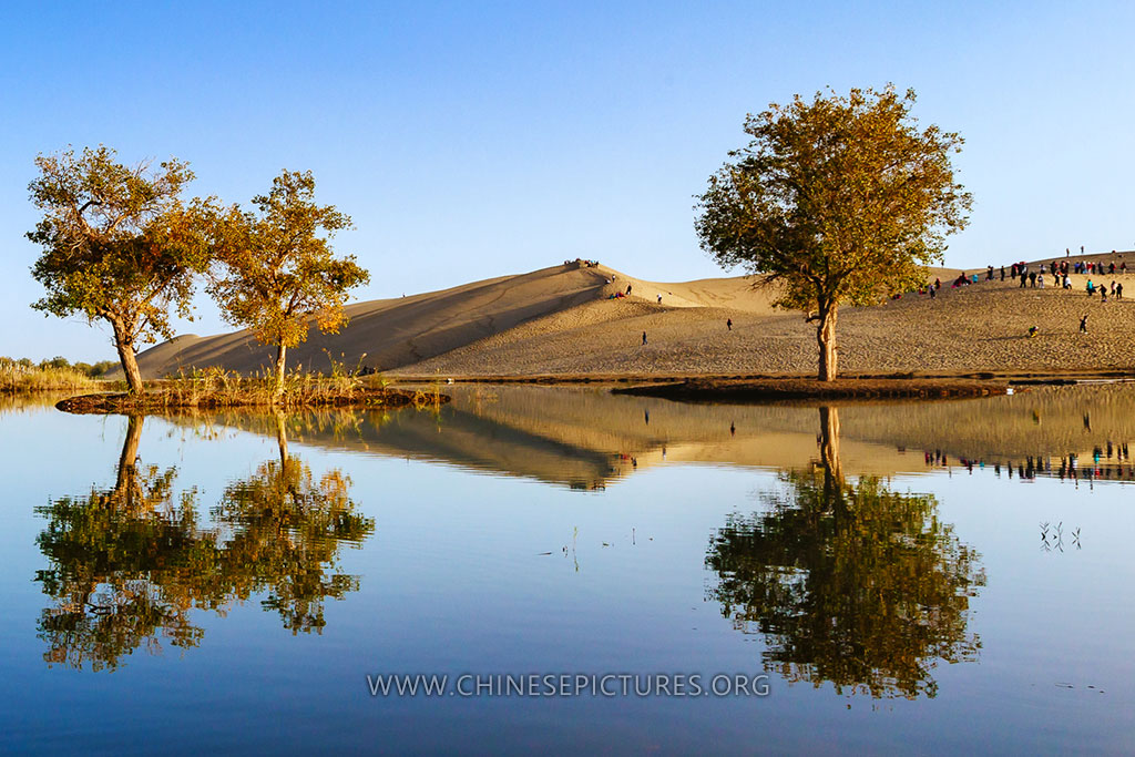 Xinjiang Tarim River